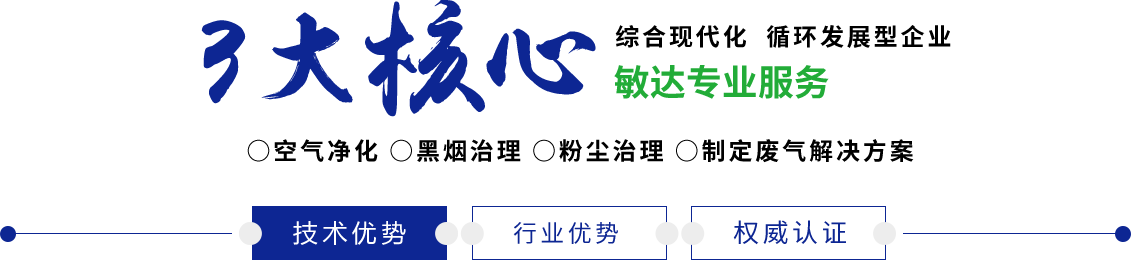 喜欢插插干视频敏达环保科技（嘉兴）有限公司
